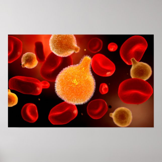 Conceptual Image of Plasmodium causing Malaria 2 Poster (Vorne)