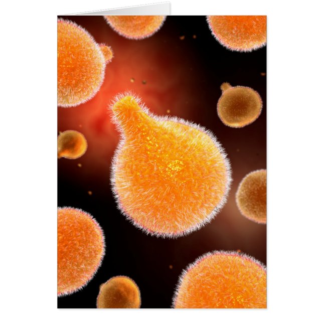 Conceptual Image of Plasmodium causing Malaria 3 (Vorne)