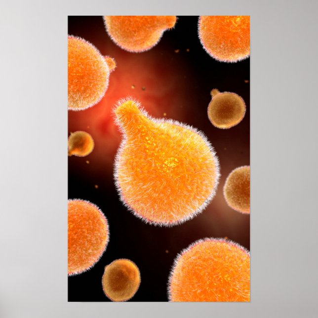 Conceptual Image of Plasmodium causing Malaria 3 Poster (Vorne)
