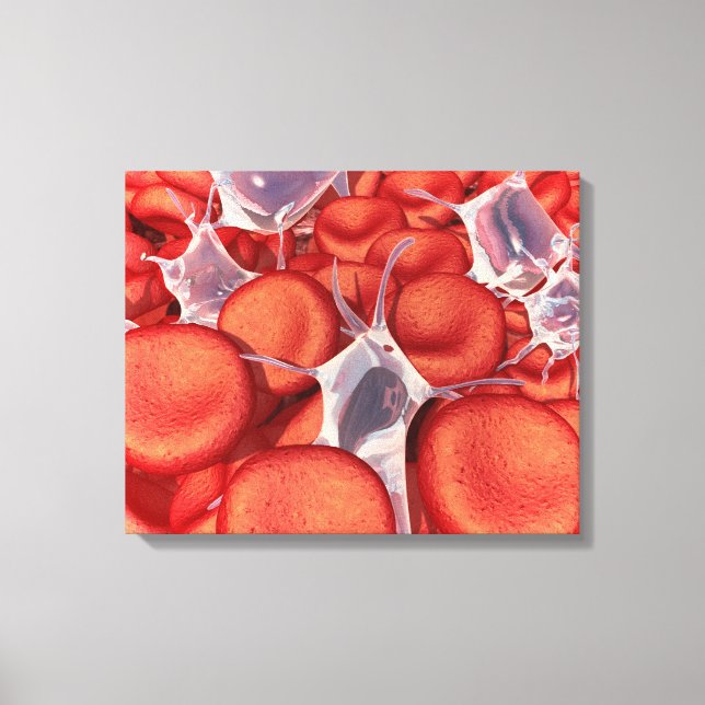 Conceptual Image of Red Blood Cells 2 Leinwanddruck (Vorderseite)