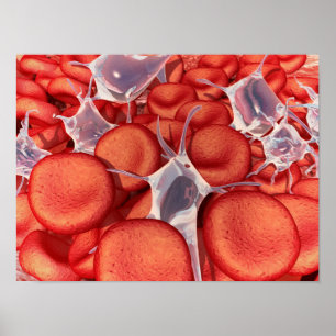 Conceptual Image of Red Blood Cells 2 Poster
