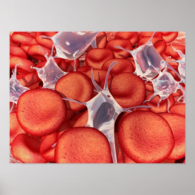 Conceptual Image of Red Blood Cells 2 Poster (Vorne)