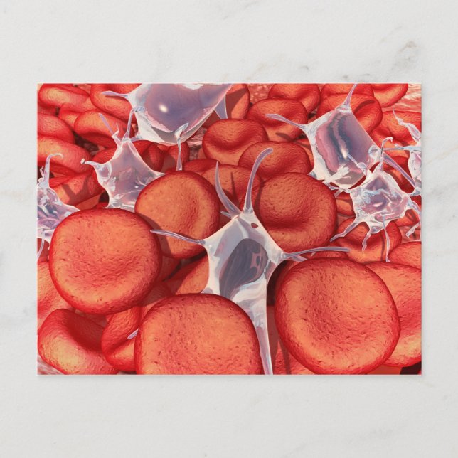 Conceptual Image of Red Blood Cells 2 Postkarte (Vorderseite)