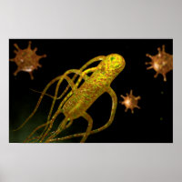 Conceptual Image of Salmonella Typhi 1