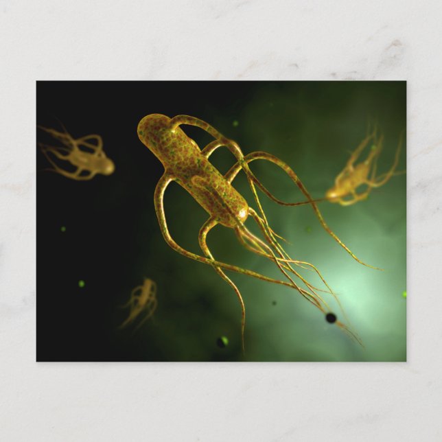 Conceptual Image of Salmonella Typhi 2 Postkarte (Vorderseite)