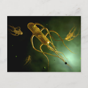 Conceptual Image of Salmonella Typhi 2 Postkarte