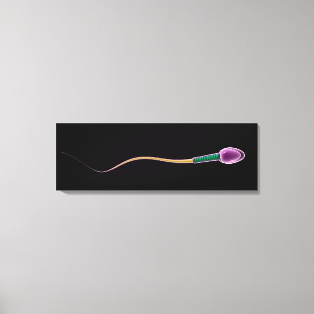 Conceptual Image of Sperm Anatomy Leinwanddruck (Vorderseite)