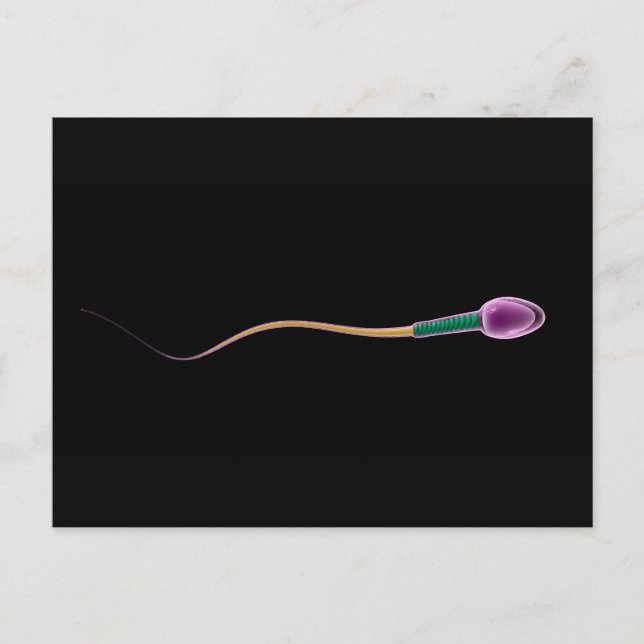 Conceptual Image of Sperm Anatomy Postkarte (Vorderseite)