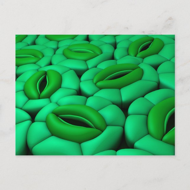 Conceptual Image of Stomata 1 Postkarte (Vorderseite)