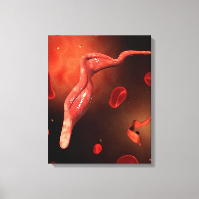 Conceptual Image of Trypanosoma 1 Leinwanddruck (Vorderseite)