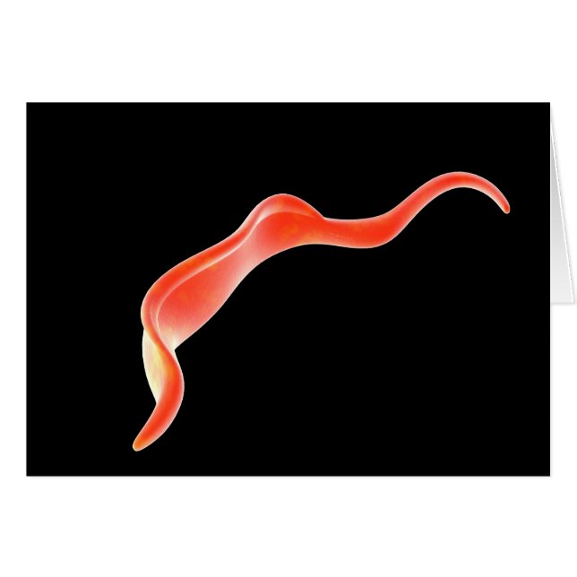 Conceptual Image of Trypanosoma 2 (Vorderseite (Horizontal))