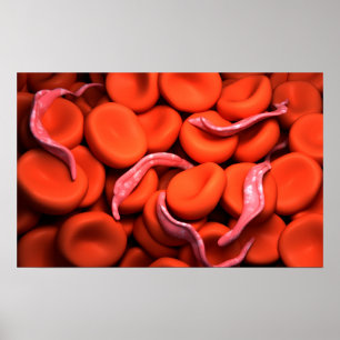Conceptual Image of Trypanosoma 3 Poster