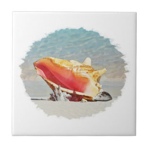 Conch am Strand Fliese