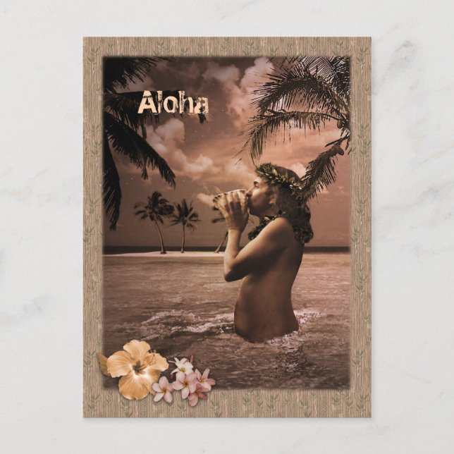 Conch Blows Postkarte (Vorderseite)