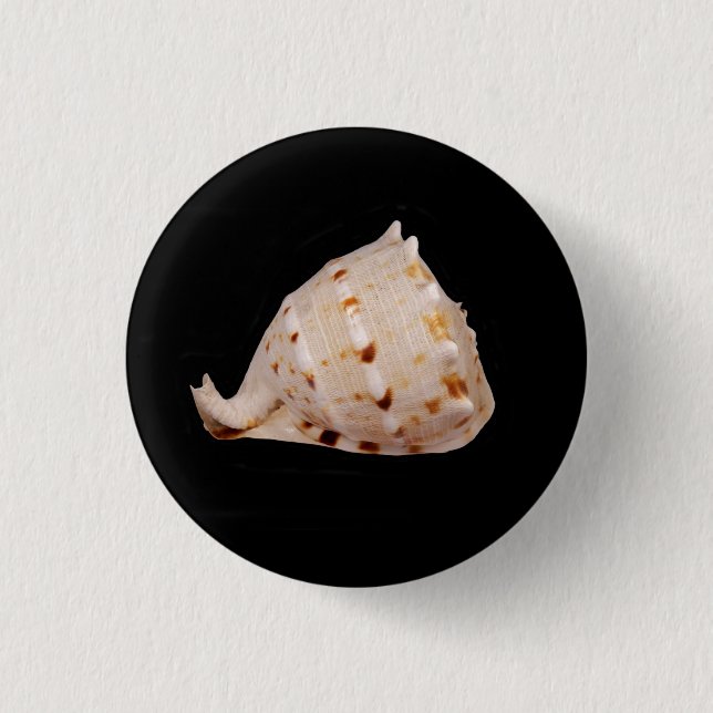 Conch Muschel Abzeichen Button (Vorderseite)