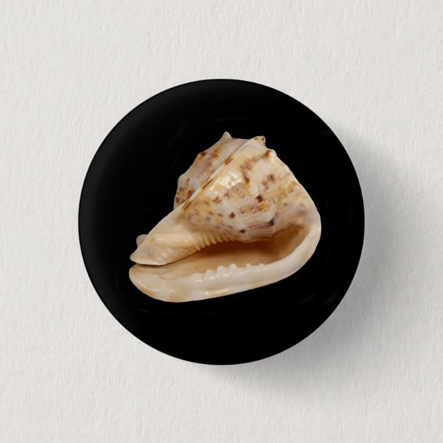 Conch Muschel Abzeichen Button (Vorderseite)