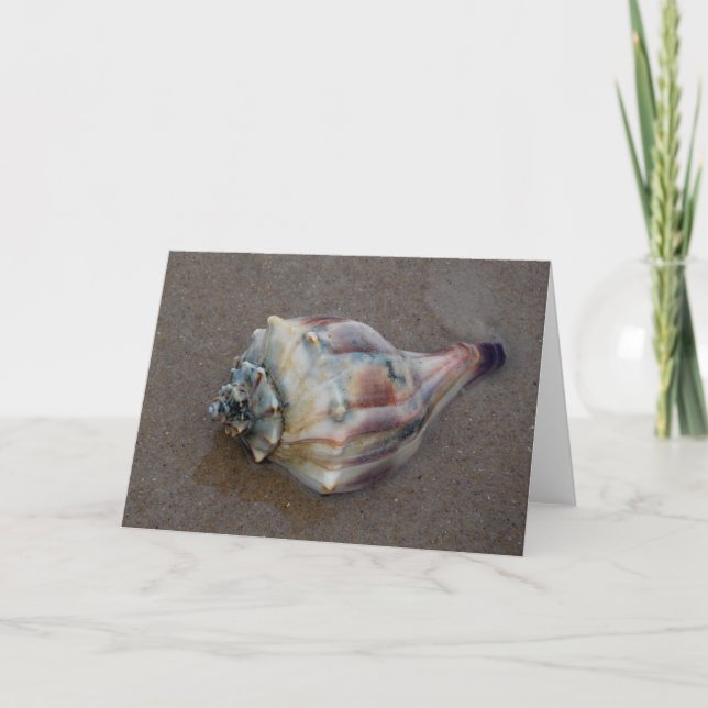 Conch-Muschel am Strand Dankeskarte (Vorderseite)