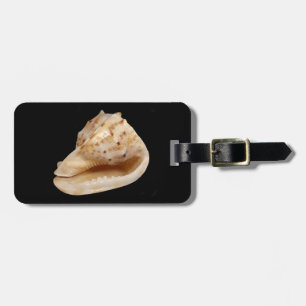 Conch Muschel Gepäckmarke Gepäckanhänger