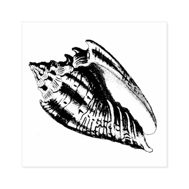 Conch-Muschel-Illustration Gummistempel (Prägung)