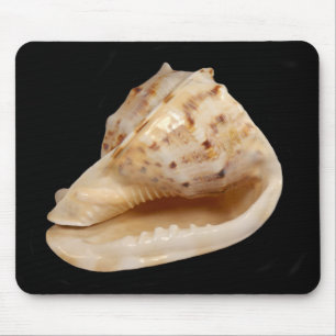Conch Muschel Mouse Mat Mousepad