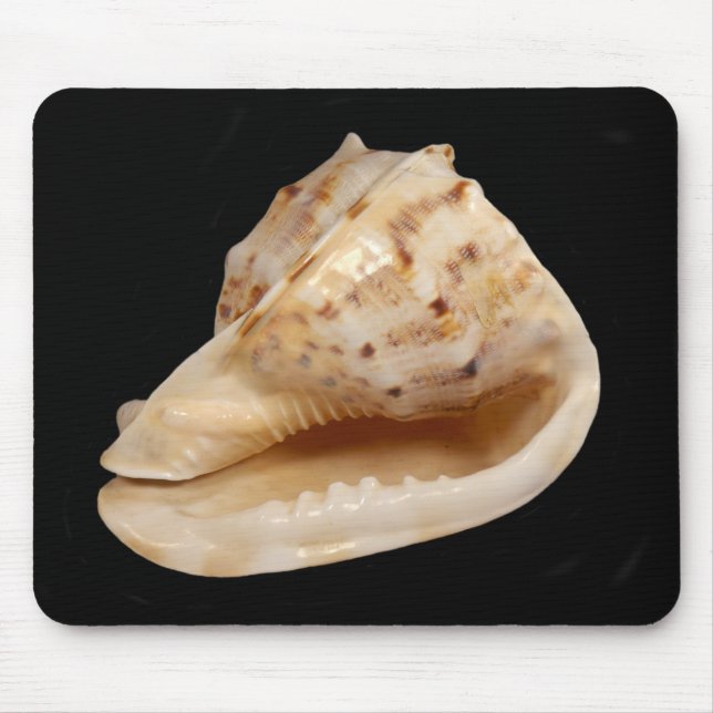 Conch Muschel Mouse Mat Mousepad (Vorne)