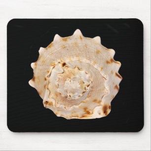 Conch Muschel Mouse Mat Mousepad