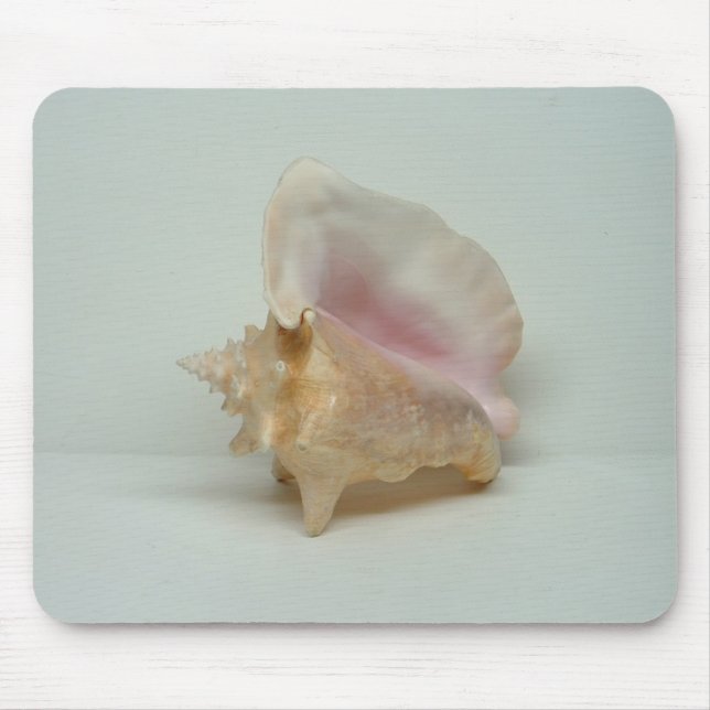 CONCH MUSCHEL Mousepad (Vorne)