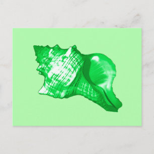 Conch Muschel Sketch - smaragdgrün und lila grün Postkarte