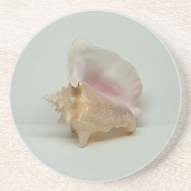 CONCH MUSCHEL UNTERSETZER (Vorne)