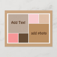 Conch Seashell Color Blocks