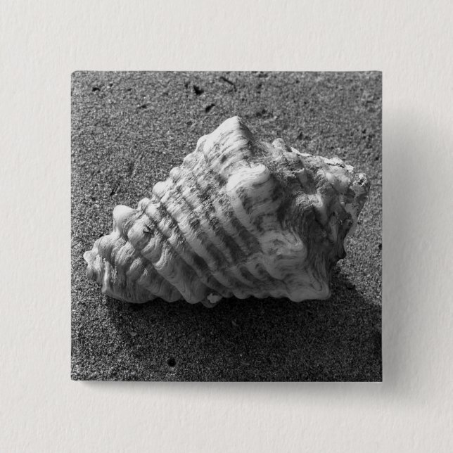 Conch Seashell Sand Beach Button Button (Vorderseite)