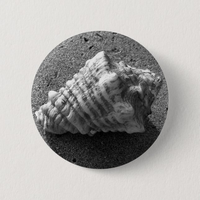 Conch Seashell Sand Beach Button Pendant (Vorderseite)