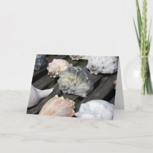 Conch Shell Birthday Card w Bible Verse Karte