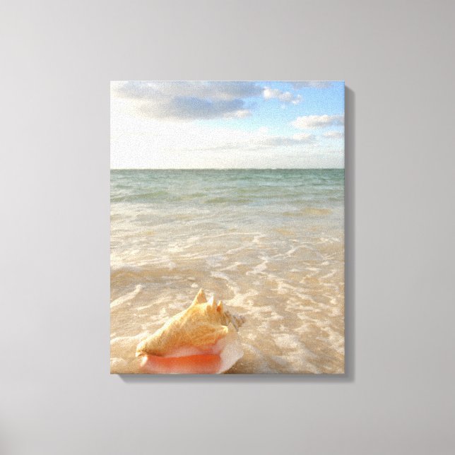 Conch Shell In Sand On Tropical Beach Leinwanddruck (Vorderseite)