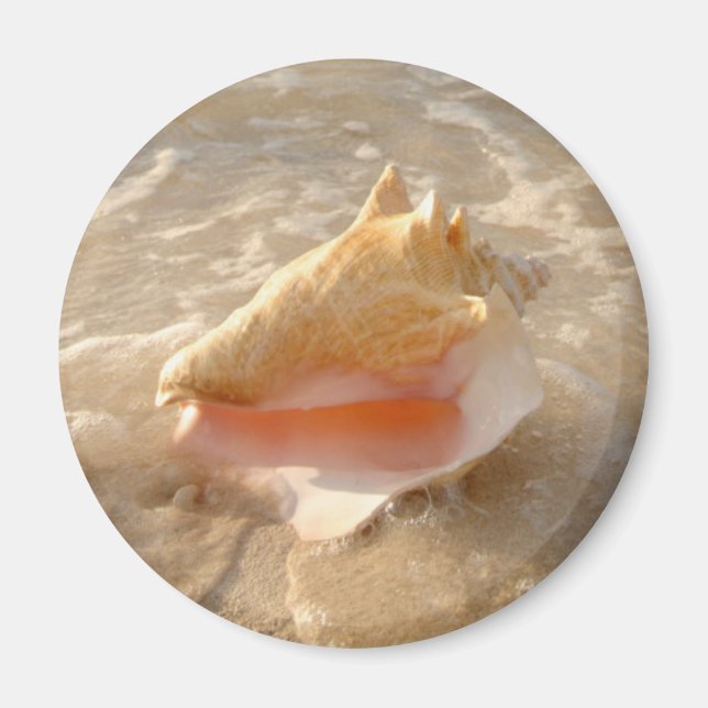 Conch Shell In Sand On Tropical Beach Magnet (Vorne)