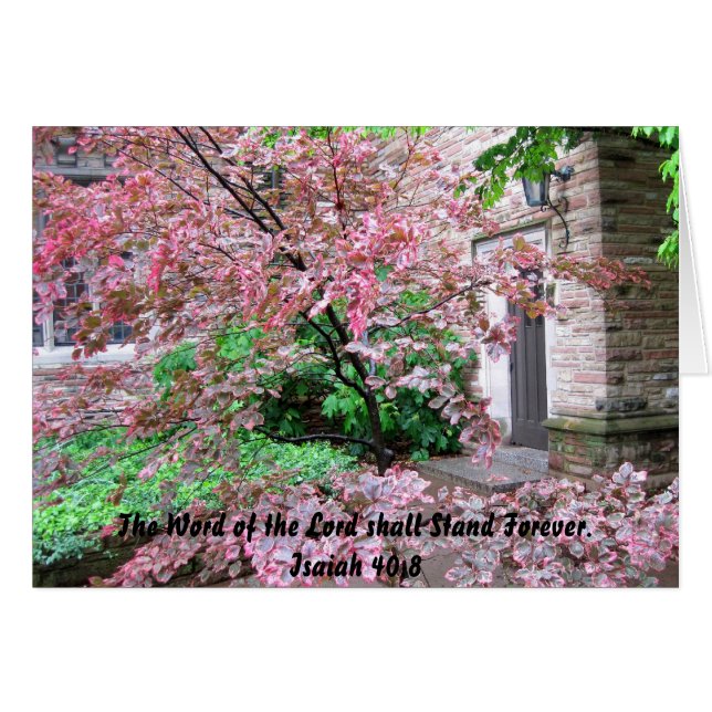 Concordia Seminary - Das Wort des Herrn (Vorderseite (Horizontal))