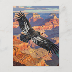 Condor am Grand Canyon Nationalpark Postkarte