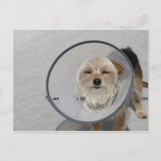 Cone Head Postkarte