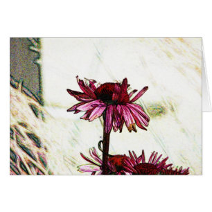 Coneflower Art