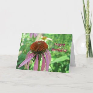 Coneflower Birthday Card Karte