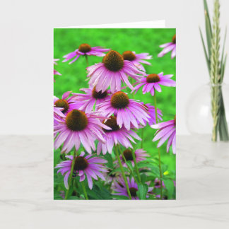 Coneflower Gruß-Karte Karte