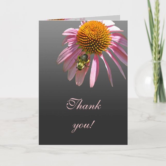Coneflower Vielen Dank Dankeskarte (Vorderseite)