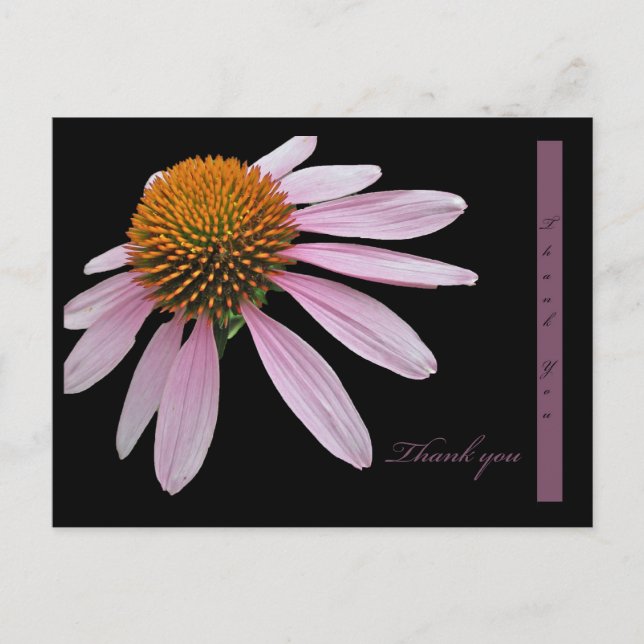 Coneflower Vielen Dank Postkarte (Vorderseite)