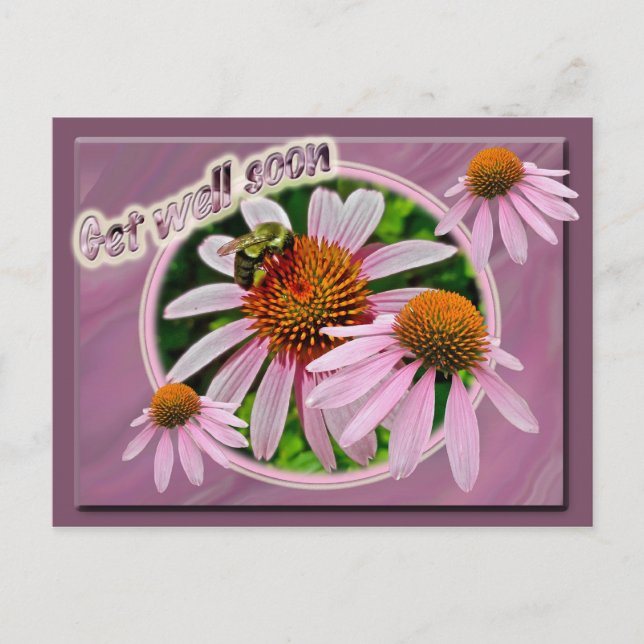 Coneflower wird bald gut postkarte (Vorderseite)