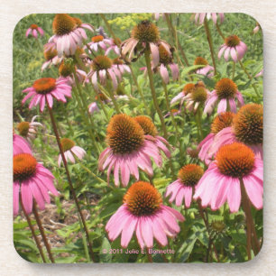 Coneflowers Korken-Untersetzer Getränkeuntersetzer