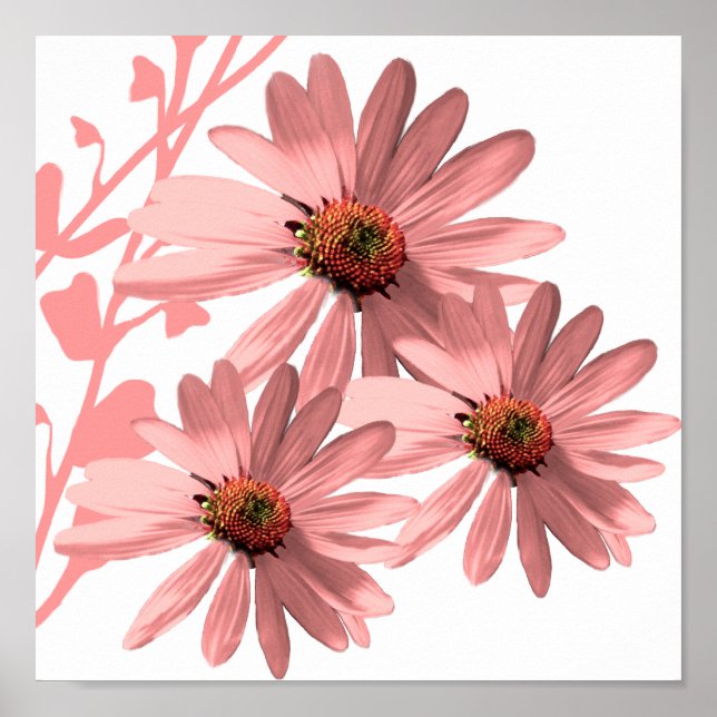 ConeFlowers Poster (Vorne)
