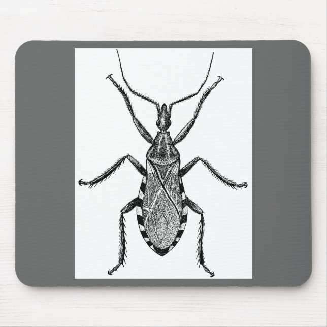Conenose Wanze - Vintag Mousepad (Vorne)