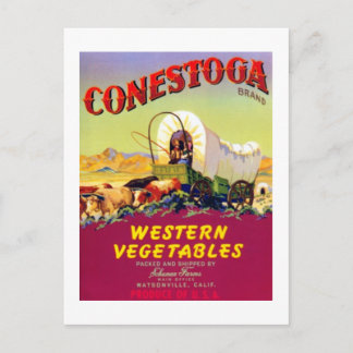 Conestoga Western Gemüse Postkarte
