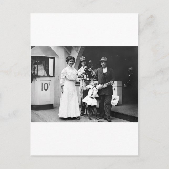 Coney Island Monkey Business Postkarte (Vorderseite)