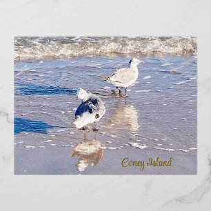 Coney Island Möwen Folien Feiertagspostkarte